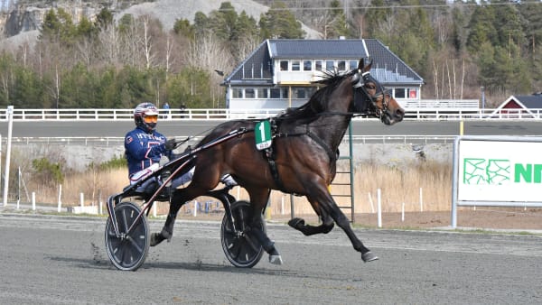 Foto: STEIN LARSEN/TRAV365