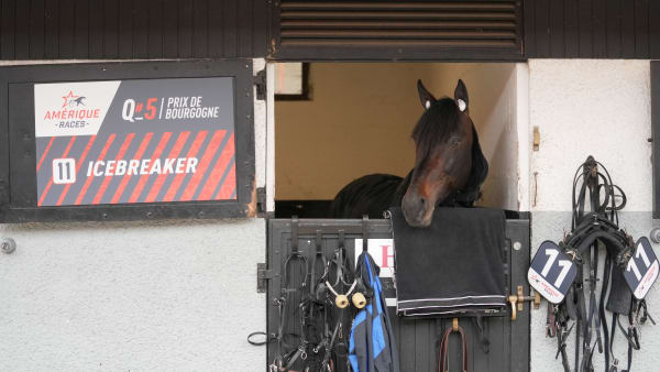 Foto: THOMAS BLOMQVIST / TR BILD