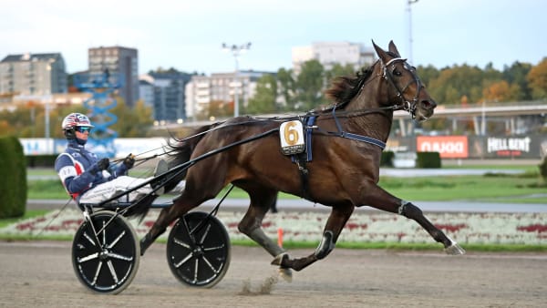 Foto: MARIA HOLMÉN / TR BILD