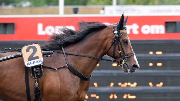 Foto: LARS JAKOBSSON / TR BILD