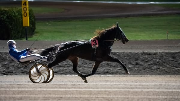 Foto: AMIE KARLSSON/TR BILD