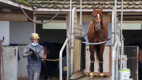 Foto: THOMAS BLOMQVIST / TR BILD