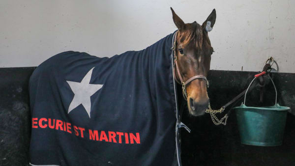 Foto: BRUNO VANDEVELDE/LE TROT