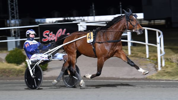 Foto: MALIN ALBINSSON / TR BILD