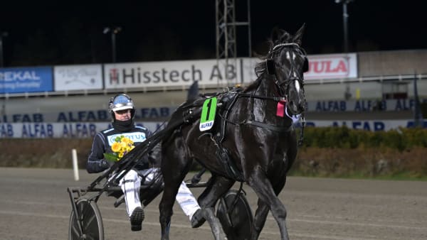 Foto: LARS JAKOBSSON / TR BILD