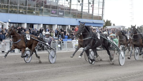 Foto: LARS JAKOBSSON / TR BILD