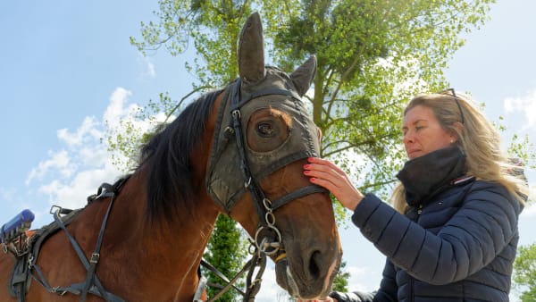 Foto: JEAN-LUC LAMAÈRE/LE TROT