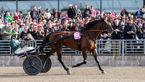 Foto: LENA EMMOTH / TR BILD