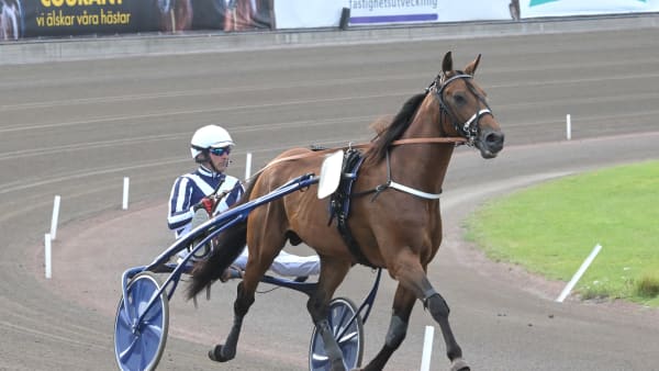 Foto: LARS JAKOBSSON / TR BILD