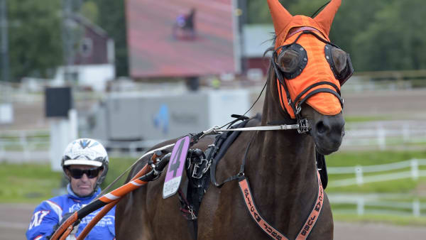 Foto: LARS JAKOBSSON / TR BILD