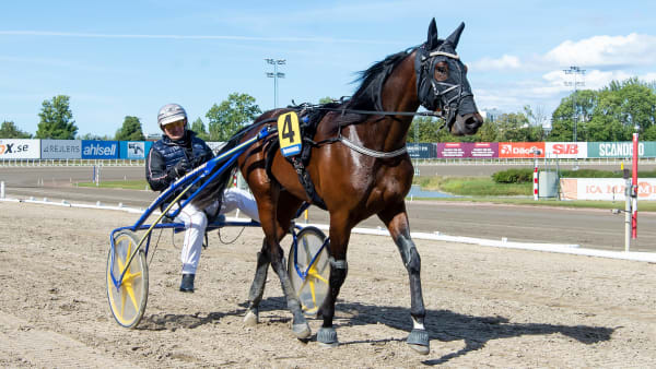 Foto: MIKAEL ROSENQUIST / TR BILD