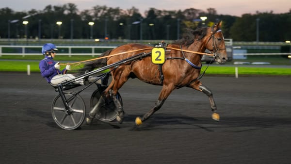 Foto: THOMAS BLOMQVIST / TR BILD