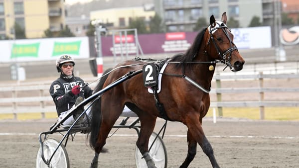 Foto: MALIN ALBINSSON / TR BILD