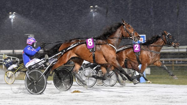 Foto: MALIN ALBINSSON / TR BILD