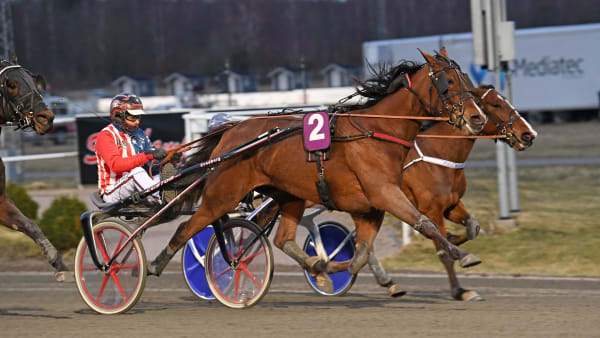 Foto: MALIN ALBINSSON / TR BILD