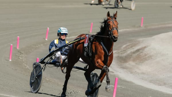 Foto: LENA EMMOTH / TR BILD