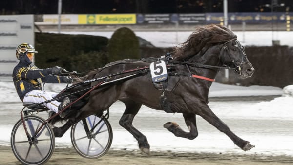 Foto: ANDERS KONGSRUD/HESTEGUIDEN