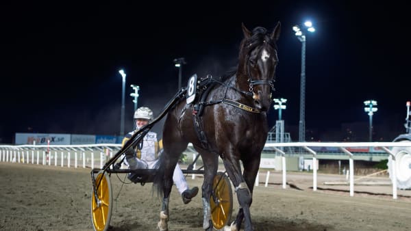 Foto: MIKAEL ROSENQUIST / TR BILD