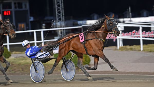 Foto: MALIN ALBINSSON / TR BILD