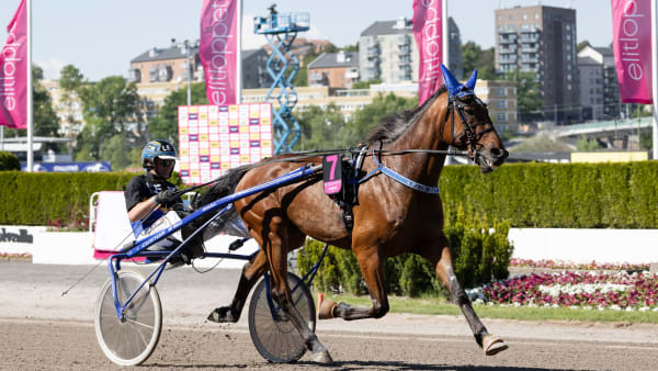 Foto: LENA EMMOTH / TR BILD