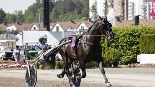 Foto: LENA EMMOTH / TR BILD