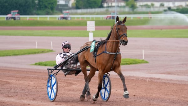 Foto: THOMAS BLOMQVIST / TR BILD