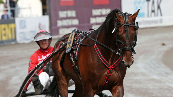 Foto: MATILDA ÖHRMAN / TR BILD