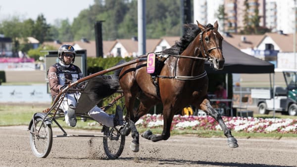 Foto: LENA EMMOTH / TR BILD