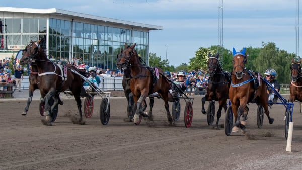 Foto: MIKAEL ROSENQUIST / TR BILD