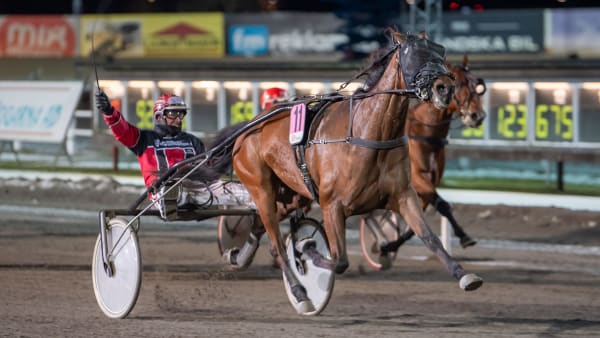 Foto: MIKAEL ROSENQUIST / TR BILD