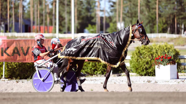 Foto: Maisa Hyttinen/Suomen Hippos