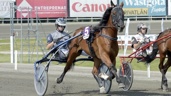 Foto: LARS JAKOBSSON/TR BILD