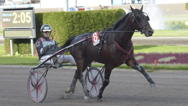 Foto: LARS JAKOBSSON / TR BILD