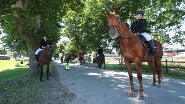 Foto: MARIA HOLMÉN / TR BILD