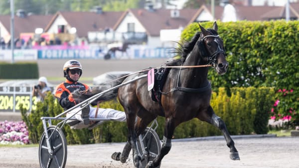 Foto: LENA EMMOTH / TR BILD