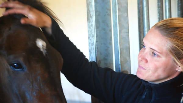 Foto: LENNART KIHLMAN