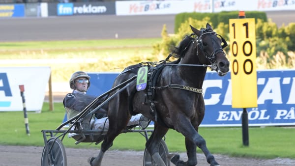 Nitlott för topphäst i BC-kval · Senaste nyheterna om trav · Travronden
