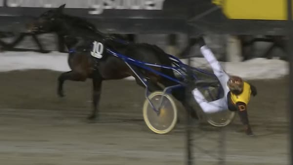 Foto: SVENSK TRAVSPORT