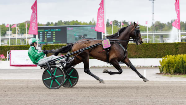 Foto: LENA EMMOTH / TR BILD