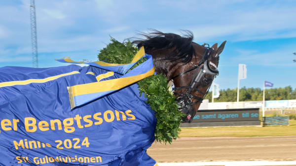 Foto: LARS JAKOBSSON / TR BILD