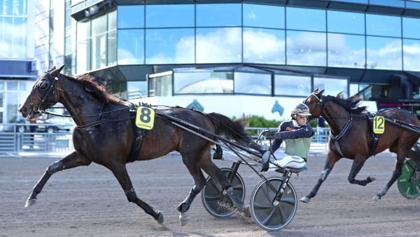 Foto: MARIA HOLMÉN / TR BILD