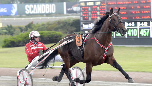 Foto: LARS JAKOBSSON / TR BILD