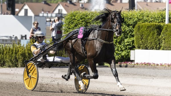 Foto: LENA EMMOTH / TR BILD