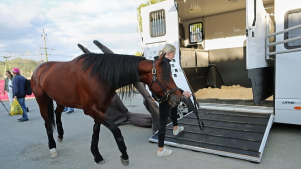 Foto: MARIA HOLMÉN / TR BILD