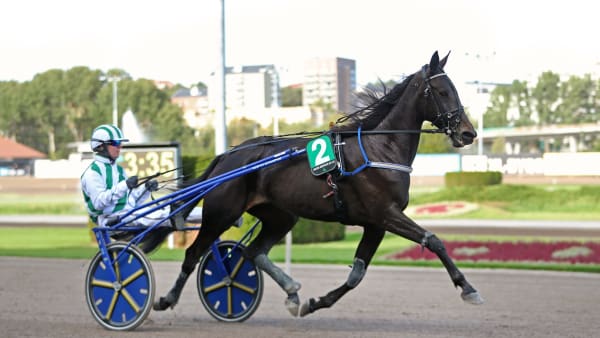 Foto: MARIA HOLMÉN / TR BILD