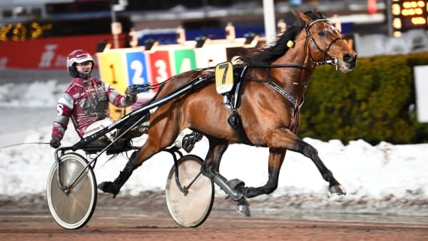 Foto: MALIN ALBINSSON/TR BILD