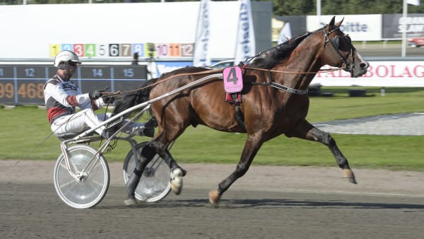 Foto: LARS JAKOBSSON / TR BILD