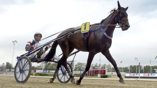 Foto: LARS JAKOBSSON / TR BILD