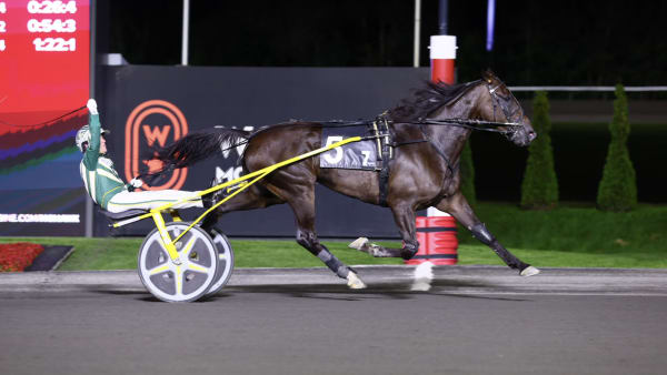 Foto: NEW IMAGE MEDIA