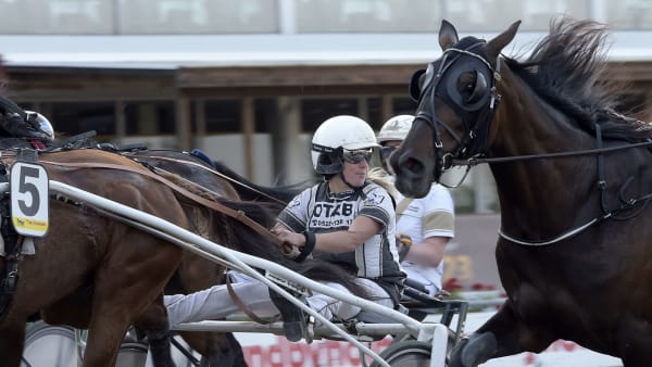 Foto: LARS JAKOBSSON / TR BILD